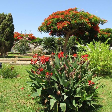 El Saguaro Villa Arona  Ngoại thất bức ảnh